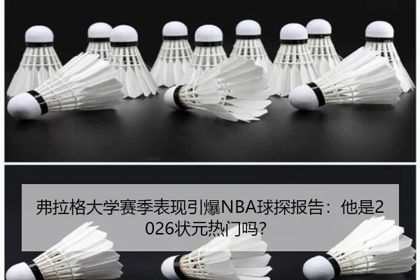 fu-la-ge-da-xue-sai-ji-biao-xian-yin-bao-qiu-tan-bao-gao-ta-shi-zhuang-yuan-re-men-ma-2-557.jpg